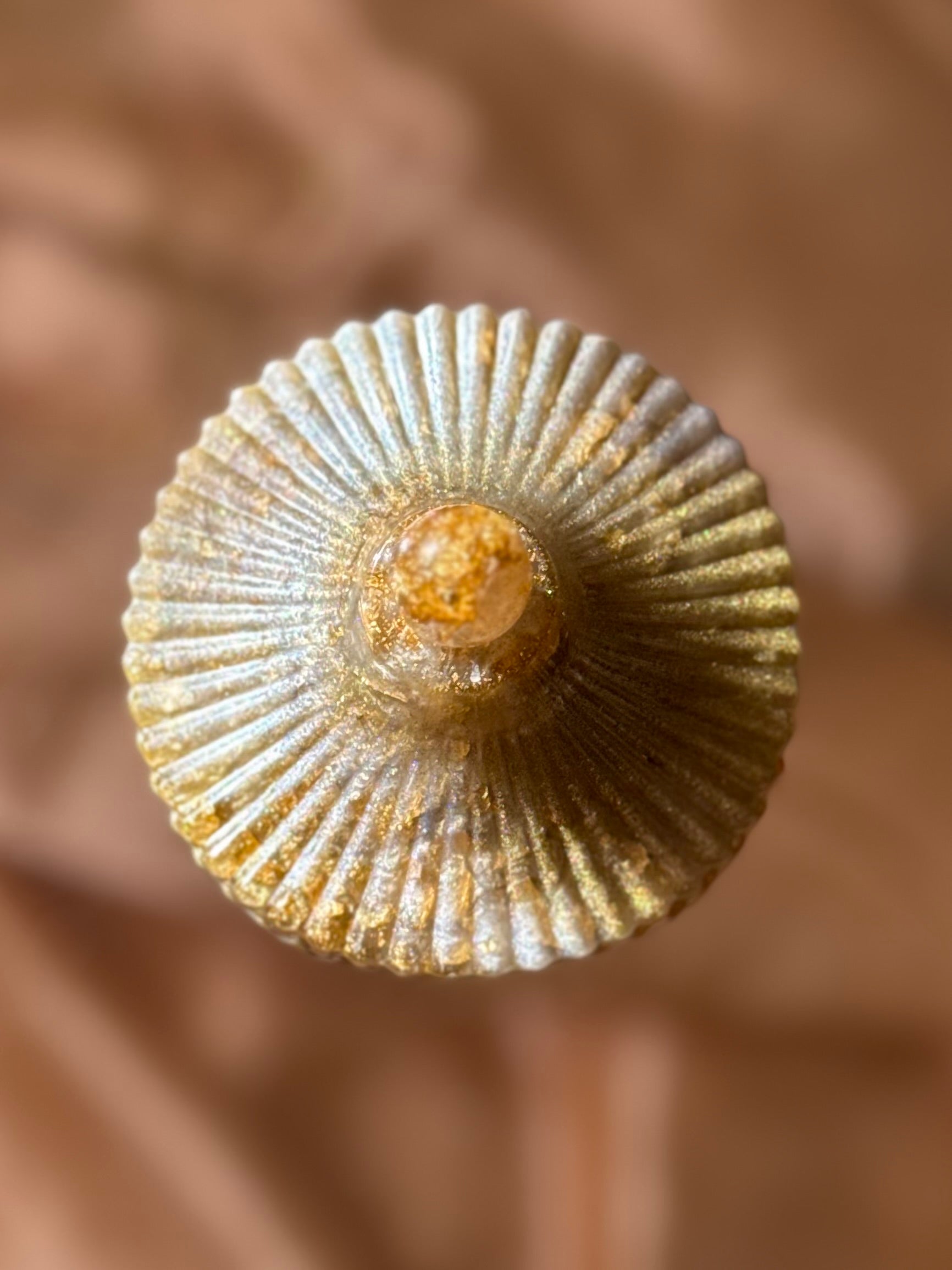 Dainty White & Gold Jewelry Box